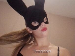 Tesscam