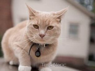 TestAlaric