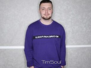 TimSoul