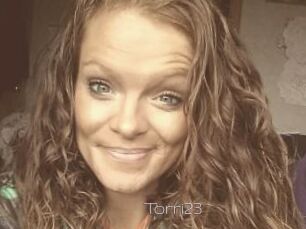 Torri23