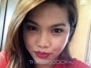 TransBigCOCK4u