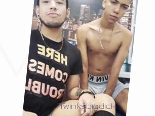 Twinksbigdick