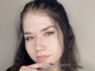 Taiteelletson