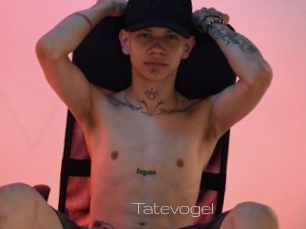 Tatevogel