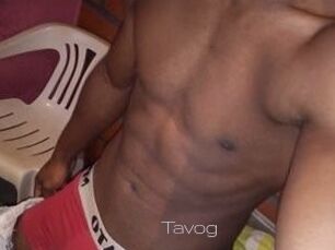 Tavog