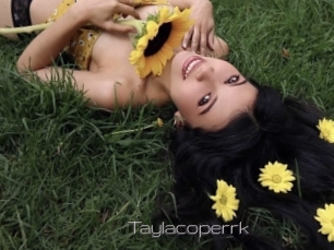 Taylacoperrk