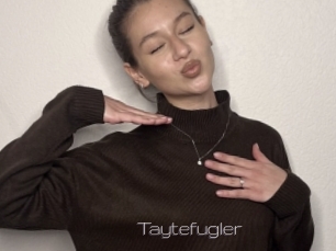 Taytefugler