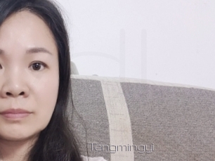 Tengmingyi