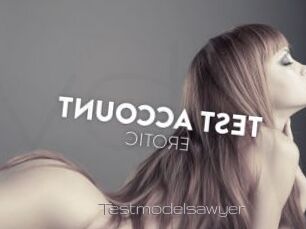 Testmodelsawyer