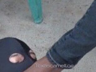Texascameltoe