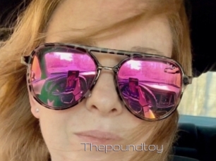 Thepoundtoy
