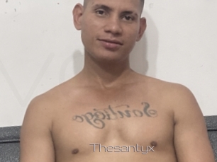 Thesantyx