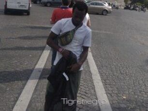 Tigrenegro