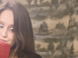 Tinamit