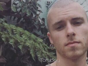 Tofu_boy