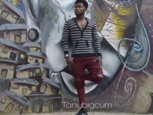 Tonybigcum