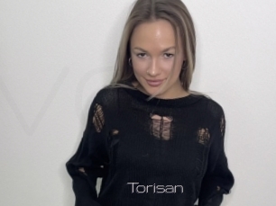 Torisan