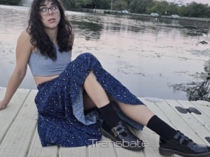 transbate Vidéo de lesbienne