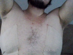 Transshadow