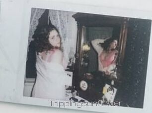 Trippingsunflower