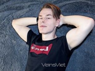VeinsViet