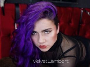 VelvetLambert