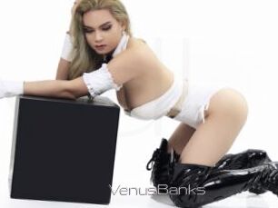 VenusBanks