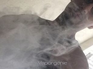 Vapor_genie