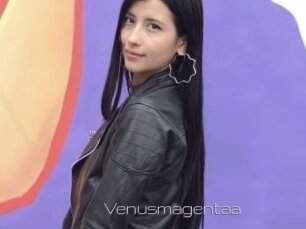 Venusmagentaa