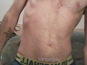 Vincegay