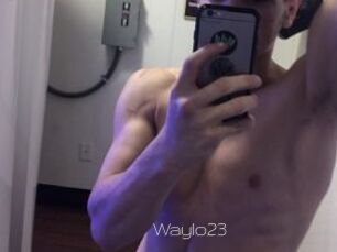 Waylo23