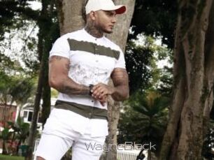 WayneBlack