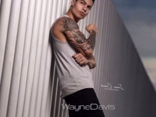 WayneDavis