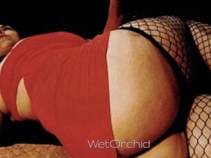 WetOrchid