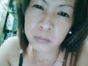 WildFlowerxx