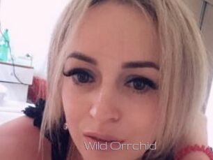 Wild_Orrchid