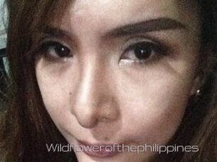 Wildflowerofthephilippines