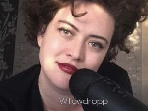 Willowdropp