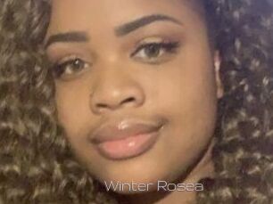 Winter_Rosea