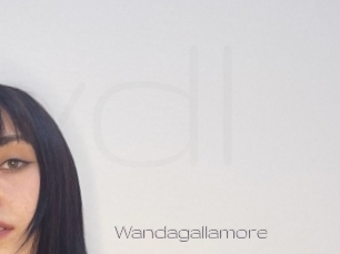 Wandagallamore