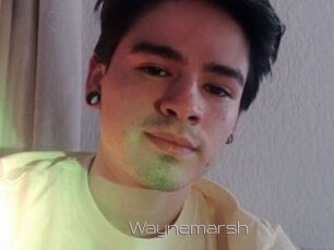 Waynemarsh