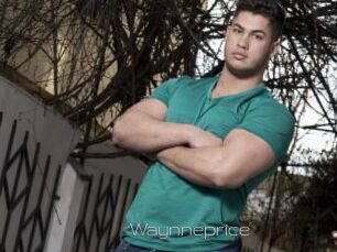 Waynneprice