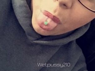 Wetpussy210