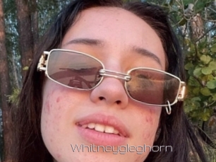 Whitneygleghorn