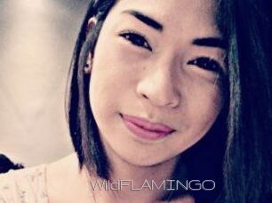 WildFLAMINGO