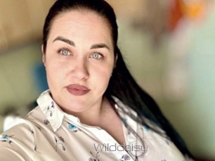 Wilddaisy