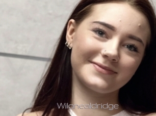 Wilonealdridge