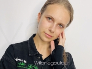 Wilonegoulder