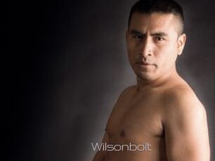 Wilsonbolt