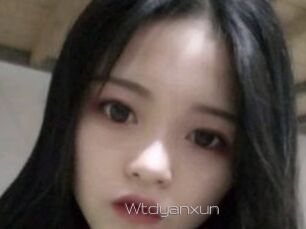 Wtdyanxun